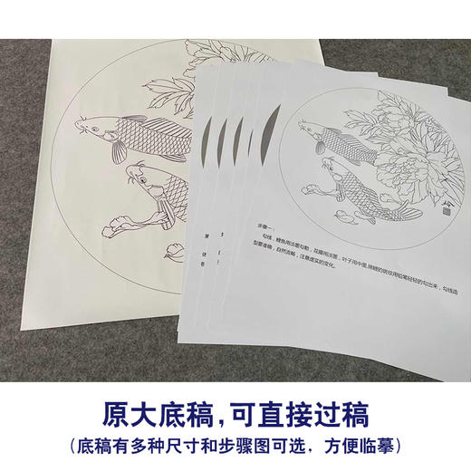 【有步骤、大彩图】郑玲玲工笔画白描稿圆形小品《和风鲤跃》牡丹鲤鱼初学者临摹花鸟线稿ZL18 商品图1
