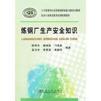 炼钢厂生产安全知识/邵明天 商品图0