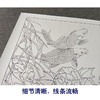 【有步骤、大彩图】郑玲玲工笔画白描底稿《静谧朝阳》牡丹鲤鱼初学者临摹花鸟线稿ZL30 商品缩略图4