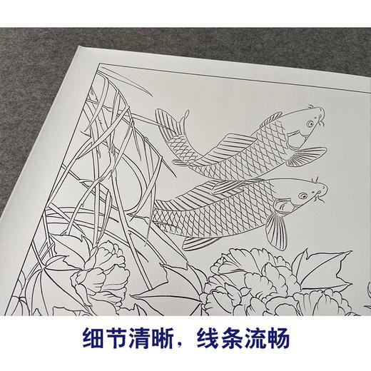 【有步骤、大彩图】郑玲玲工笔画白描底稿《静谧朝阳》牡丹鲤鱼初学者临摹花鸟线稿ZL30 商品图4