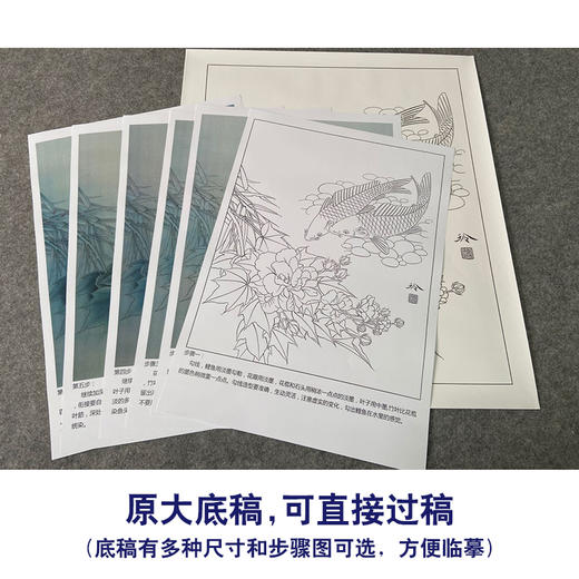 【有步骤、大彩图】郑玲玲工笔画白描底稿《清水逐》芙蓉鲤鱼初学者临摹花鸟线稿ZL32 商品图1