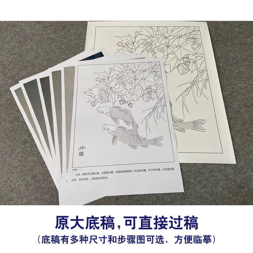 【有步骤、大彩图】郑玲玲工笔画白描稿《朝暮相逐》牡丹鲤鱼初学者临摹花鸟线稿ZL29 商品图1