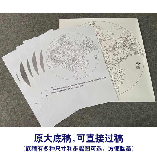 【有步骤、大彩图】郑玲玲工笔画白描底稿圆形小品《清水碧影》牡丹鲤鱼初学者临摹花鸟线稿ZL22 商品图1