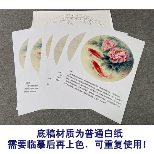 【有步骤、大彩图】郑玲玲工笔画白描底稿圆形小品《牡丹鲤鱼图》初学者临摹花鸟线稿ZL10 商品图3