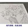 【有步骤、大彩图】郑玲玲工笔画白描稿《朝暮相逐》牡丹鲤鱼初学者临摹花鸟线稿ZL29 商品缩略图4
