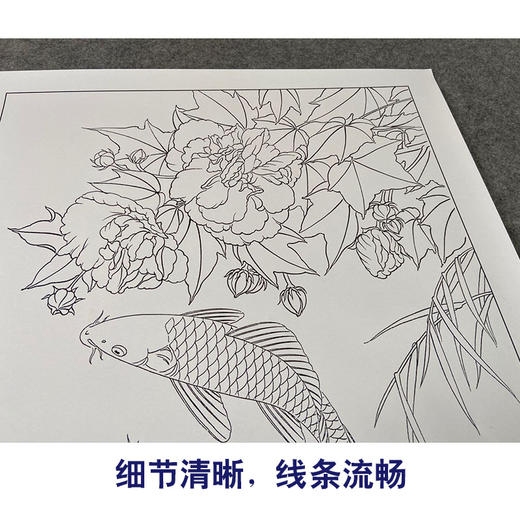 【有步骤、大彩图】郑玲玲工笔画白描稿《朝暮相逐》牡丹鲤鱼初学者临摹花鸟线稿ZL29 商品图4