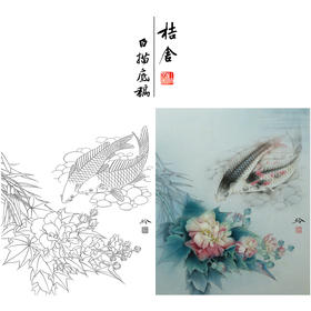 【有步骤、大彩图】郑玲玲工笔画白描底稿《清水逐》芙蓉鲤鱼初学者临摹花鸟线稿ZL32
