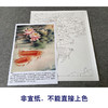 【有步骤、大彩图】郑玲玲工笔画白描底稿《双龙图》荷花鲤鱼初学者临摹花鸟线稿ZL45 商品缩略图2