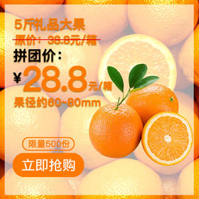 【仅28.8元抢购5斤装】赣南脐橙礼盒