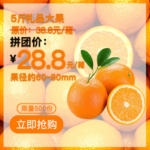 【仅28.8元抢购5斤装】赣南脐橙礼盒 商品图0