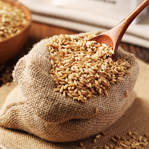 新良莜麦粉500g燕麦粉鱼鱼粉全麦家用包子饺子馒头烘焙粉 商品图1