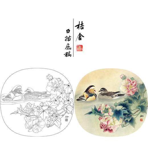 【有步骤、大彩图】郑玲玲工笔画白描底稿小品《芙蓉鸳鸯图》初学者临摹花鸟线稿ZL13 商品图0