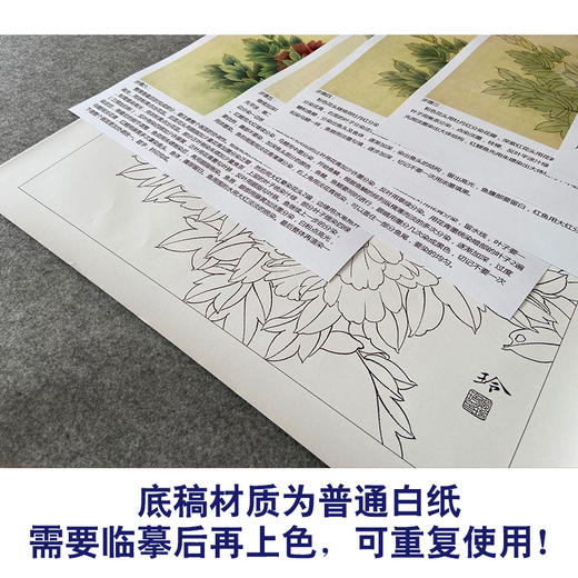 【有步骤、大彩图】郑玲玲工笔画白描底稿《牡丹鱼乐图》牡丹鲤鱼初学者临摹花鸟线稿ZL41 商品图3