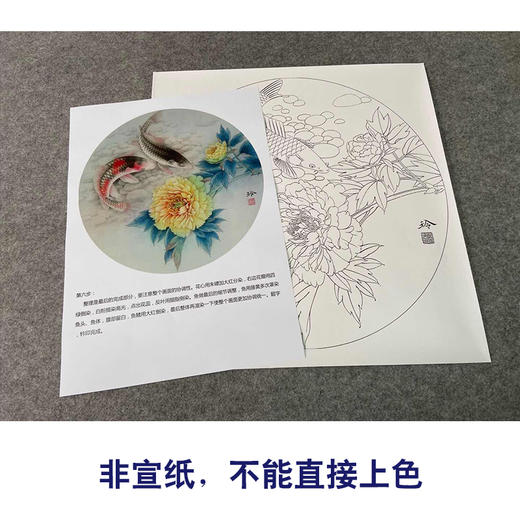 【有步骤、大彩图】郑玲玲工笔画白描底稿圆形小品《清水碧影》牡丹鲤鱼初学者临摹花鸟线稿ZL22 商品图2