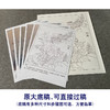 【有步骤、大彩图】郑玲玲工笔画白描底稿《梦里花开》牡丹鲤鱼初学者临摹花鸟线稿ZL37 商品缩略图1