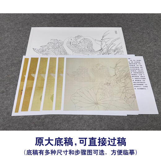 【有步骤、大彩图】郑玲玲工笔画白描底稿小品《物华秋水》荷花天鹅初学者临摹花鸟线稿ZL08 商品图1