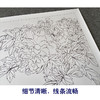 【有步骤、大彩图】郑玲玲工笔画白描底稿《吉庆有余图》牡丹鲤鱼初学者临摹花鸟线稿ZL42 商品缩略图4