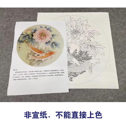 【有步骤、大彩图】郑玲玲工笔画白描稿圆形小品《晨曦鱼戏》牡丹鲤鱼初学者临摹花鸟线稿ZL23 商品图2