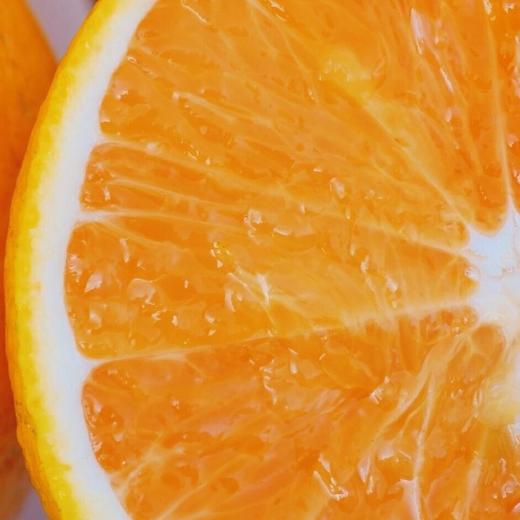 生态武夷山桔柚  | 公平贸易 | 基地直发*Ecological Wuyishan Orange Pomelo 商品图1