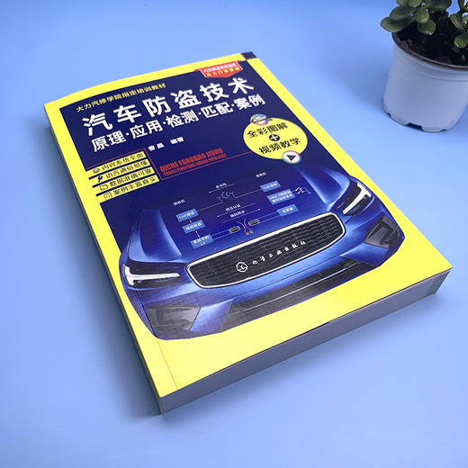 汽车防盗技术原理·应用·检测·匹配·案例（汽车防盗知识与技能大全，从入门到精通看这本就够了） 商品图1