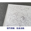 【有步骤、大彩图】郑玲玲工笔画白描底稿《荷花叶下鲫鱼醉》荷花鲫鱼初学者临摹花鸟线稿ZL44 商品缩略图4
