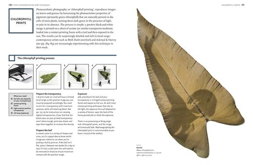 【预订】Experimental Photography: A Handbook of Techniques | 摄影实验 商品图1