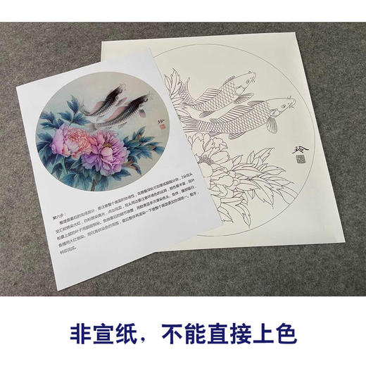 【有步骤、大彩图】郑玲玲工笔画白描底稿圆形小品《悠然自乐》牡丹鲤鱼初学者临摹花鸟线稿ZL19 商品图2