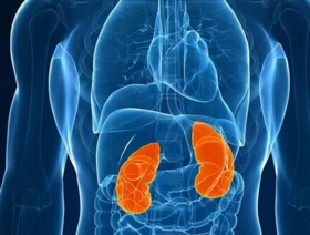 这些习惯，正在悄悄摧毁你的肾！护肾六穴，现在知道还不晚 