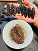速发海参（已去沙嘴，保温杯80度水泡发24小时即可食用） 商品缩略图1