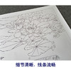 【有步骤、大彩图】郑玲玲工笔画白描底稿《双龙图》荷花鲤鱼初学者临摹花鸟线稿ZL45 商品缩略图4
