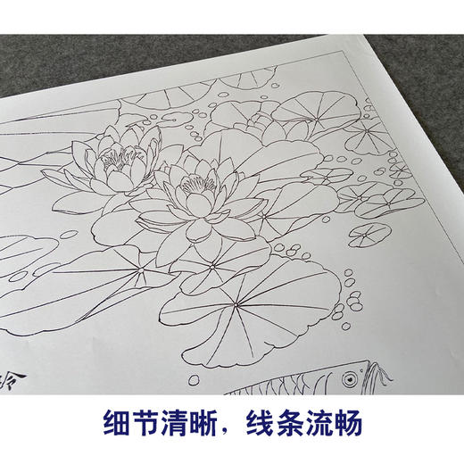【有步骤、大彩图】郑玲玲工笔画白描底稿《双龙图》荷花鲤鱼初学者临摹花鸟线稿ZL45 商品图4