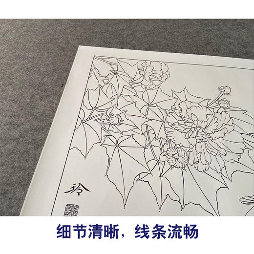 【有步骤、大彩图】郑玲玲工笔画白描底稿《双锦比翼图》牡丹鲤鱼初学者临摹花鸟线稿ZL36 商品图4