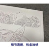 【有步骤、大彩图】郑玲玲工笔画白描稿小品《荷塘细语》荷花天鹅初学者临摹花鸟线稿ZL03 商品缩略图4