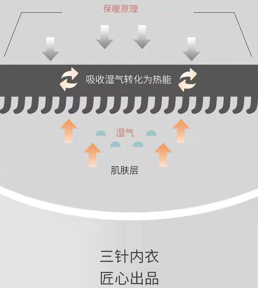 三针发热纤维净色圆领男内衣5605 商品图3