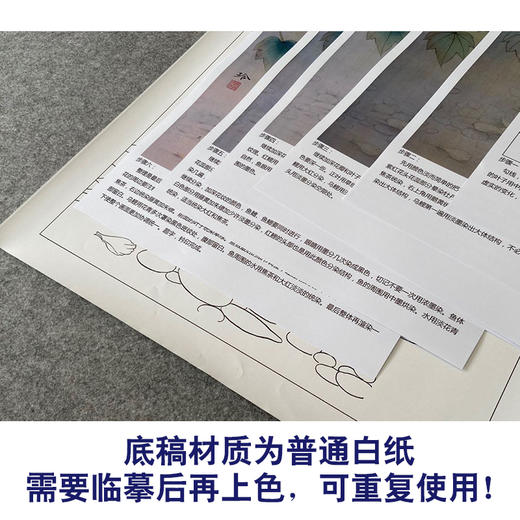 【有步骤、大彩图】郑玲玲工笔画白描底稿《荣华富贵》鲤鱼芙蓉图初学者临摹花鸟线稿ZL43 商品图3