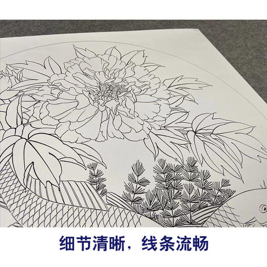 【有步骤、大彩图】郑玲玲工笔画白描稿圆形小品《晨曦鱼戏》牡丹鲤鱼初学者临摹花鸟线稿ZL23 商品图4