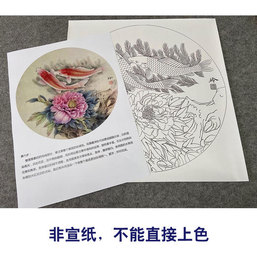 【有步骤、大彩图】郑玲玲工笔画白描稿圆形小品《相依相伴》牡丹鲤鱼初学者临摹花鸟线稿ZL27 商品图2
