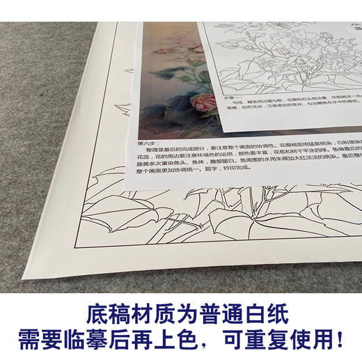 【有步骤、大彩图】郑玲玲工笔画白描底稿《梦里花开》牡丹鲤鱼初学者临摹花鸟线稿ZL37 商品图3