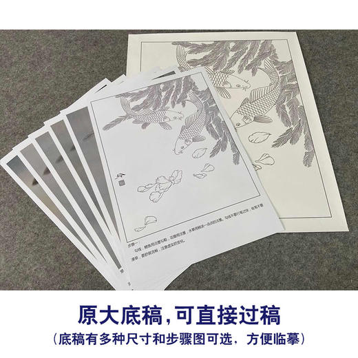 【有步骤、大彩图】郑玲玲工笔画白描底稿小品《竟自游》鲤鱼初学者临摹花鸟线稿ZL28 商品图1