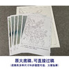 【有步骤、大彩图】郑玲玲工笔画白描底稿《静谧朝阳》牡丹鲤鱼初学者临摹花鸟线稿ZL30 商品缩略图1