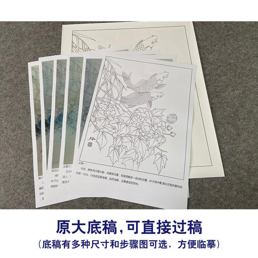 【有步骤、大彩图】郑玲玲工笔画白描底稿《静谧朝阳》牡丹鲤鱼初学者临摹花鸟线稿ZL30 商品图1