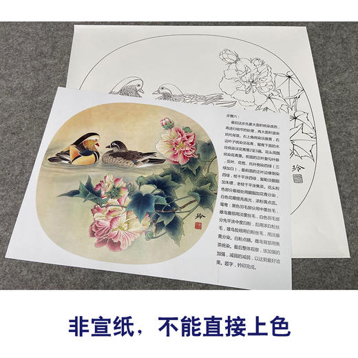 【有步骤、大彩图】郑玲玲工笔画白描底稿小品《芙蓉鸳鸯图》初学者临摹花鸟线稿ZL13 商品图2