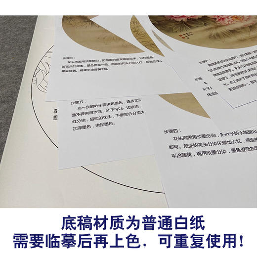 【有步骤、大彩图】郑玲玲工笔画白描底稿圆形小品《牡丹蝴蝶图》初学者临摹花鸟线稿ZL11 商品图3