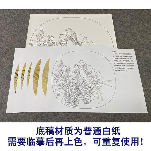 【有步骤、大彩图】郑玲玲工笔画白描底稿小品《兰芳石坚》绶带鸟兰花草初学者临摹花鸟线稿ZL14 商品图3