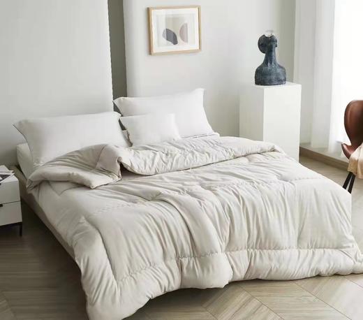 【30000积分】SHEPLOAN有机大豆冬被  12/3-12/12 4F A区SHERIDAN专柜提货 商品图0