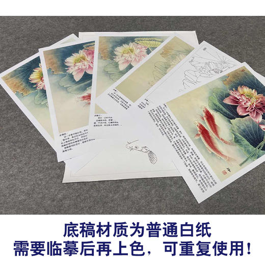 【有步骤、大彩图】郑玲玲工笔画白描底稿《清清荷韵悠悠我心》荷花鲤鱼初学者临摹花鸟线稿ZL06 商品图3