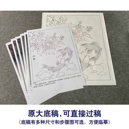 【有步骤、大彩图】郑玲玲工笔画白描底稿《双锦比翼图》牡丹鲤鱼初学者临摹花鸟线稿ZL36 商品图1
