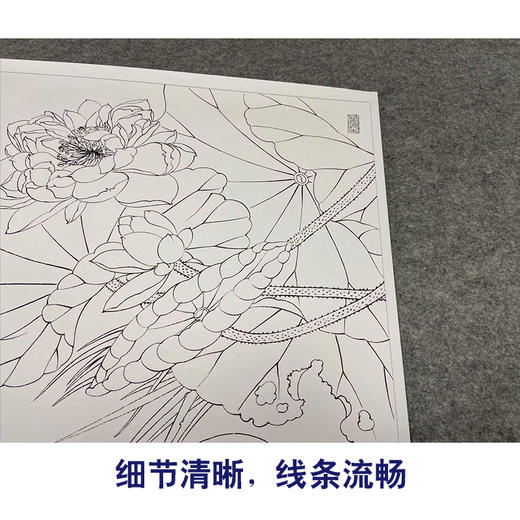 【有步骤、大彩图】郑玲玲工笔画白描稿《清荷丽影》荷花天鹅初学者临摹花鸟线稿ZL05 商品图4