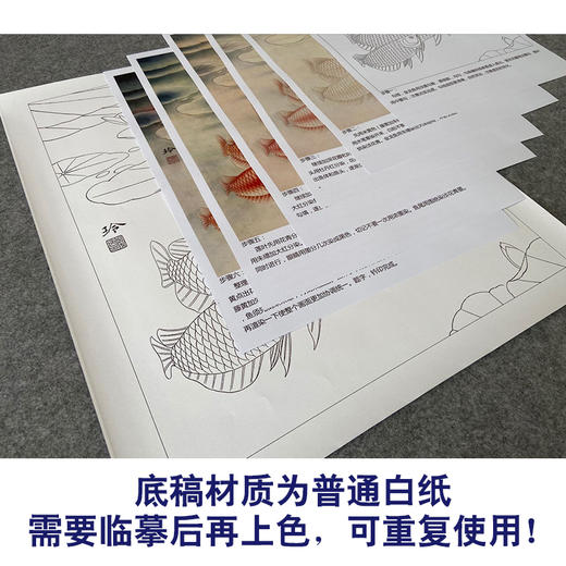 【有步骤、大彩图】郑玲玲工笔画白描底稿《双龙图》荷花鲤鱼初学者临摹花鸟线稿ZL45 商品图3