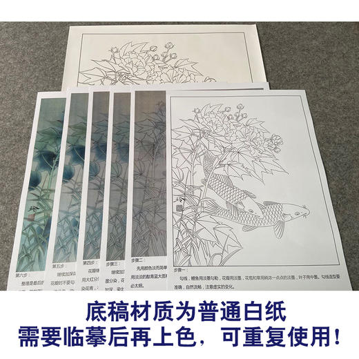 【有步骤、大彩图】郑玲玲工笔画白描底稿《醉清梦》芙蓉鲤鱼初学者临摹花鸟线稿ZL33 商品图3